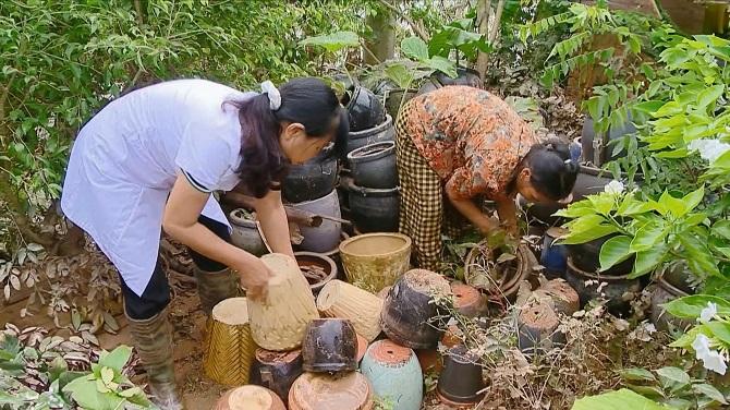 Hà Nội đang vào đỉnh dịch sốt xuất huyết, cần chú ý phát hiện sớm các dấu hiệu bệnh để tránh biến chứng nghiêm trọng - Ảnh 1.