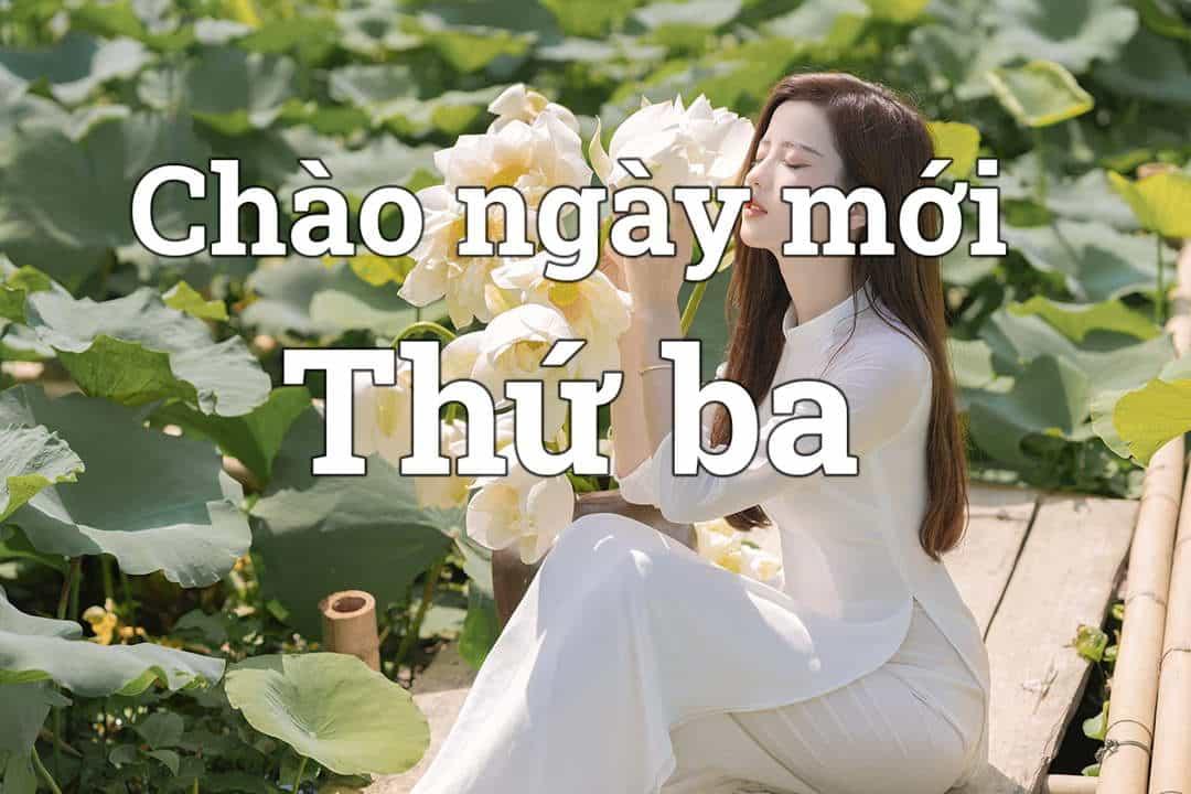 Tràn đầy năng lượng cho ngày thứ Ba làm việc hiệu quả với những hình ảnh đẹp