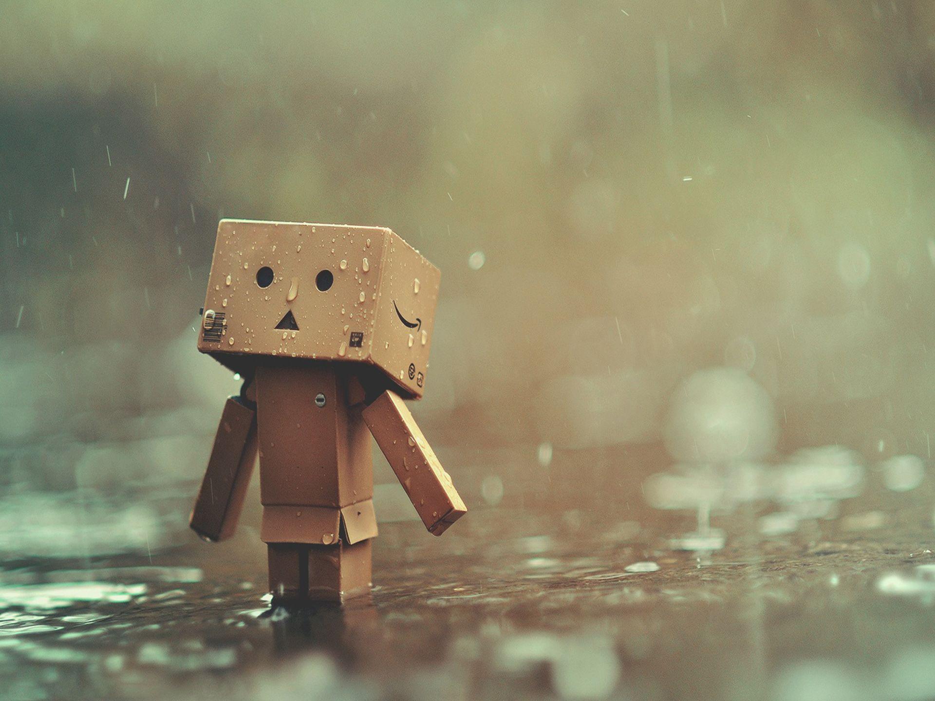 Hình ảnh Danbo buồn trong mưa