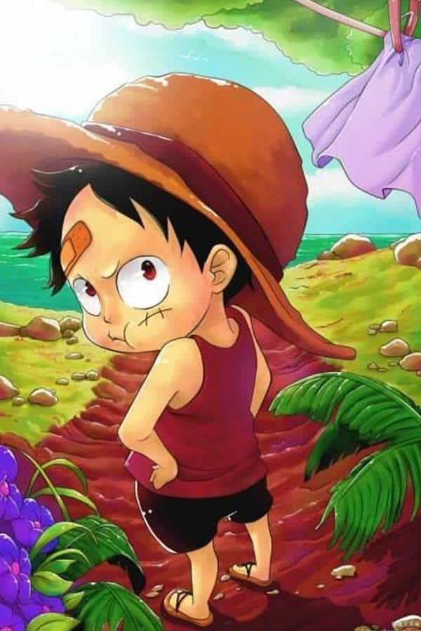 Hình nền One Piece Luffy đẹp