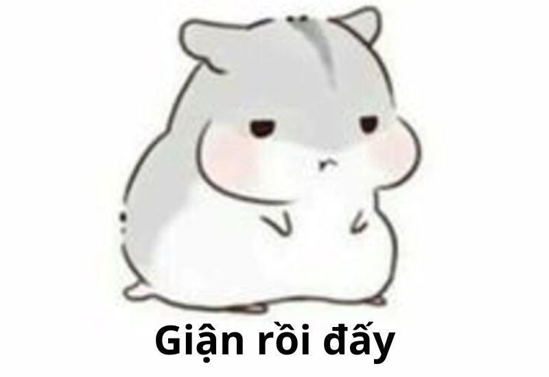 Meme tức giận rồi