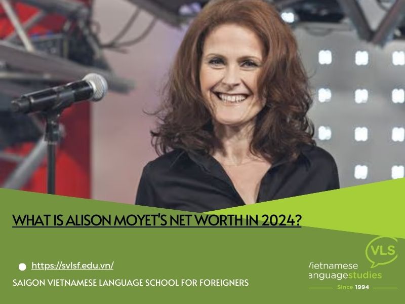 What is Alison Moyet's net worth in 2024?