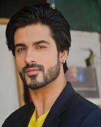 Abrar Qazi- Family, Girlfriend, Occupation, Age etc