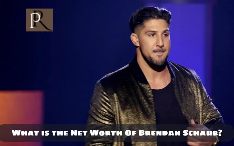 What is Brendan Schaub's net worth in 2024