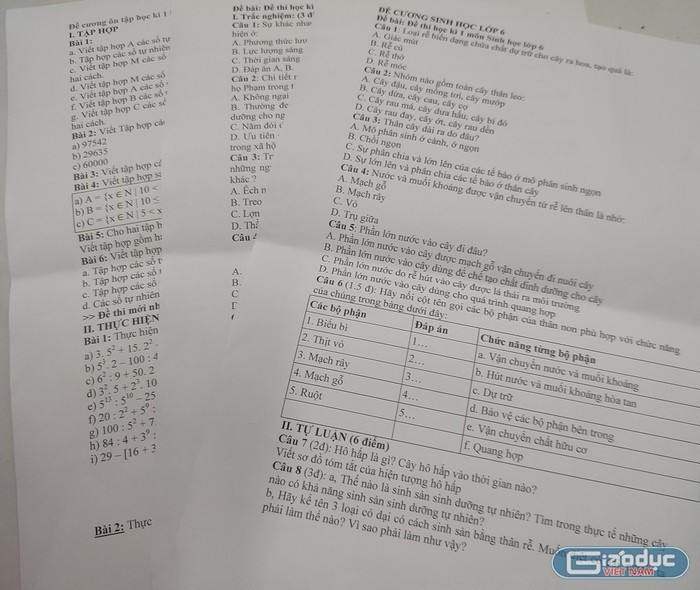  Có giáo viên cho đề cương ôn tập ra sao đề kiểm tra tương tự vậy 