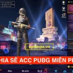 Ảnh Pubg Đẹp, Ảnh Pubg 4k [91+ Hình Nền Pubg Mobile Mới Nhất]