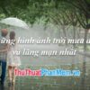 Khám phá vẻ đẹp tuyệt vời của mưa