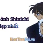 Hình ảnh Shinichi đẹp nhất