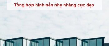 Tập hợp hình nền nhẹ nhàng đẹp đến từng chi tiết