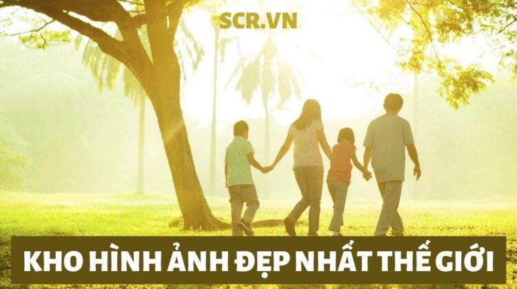 Hình Ảnh Đẹp Trên Mạng [201+ Ảnh Mạng Cute Nhất 2024]