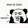 Meme gấu trúc bựa weibo Trung Quốc, troll face, chúc ngủ ngon