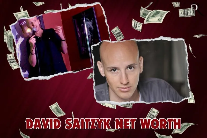 What is David Saitzyk's net worth in 2024