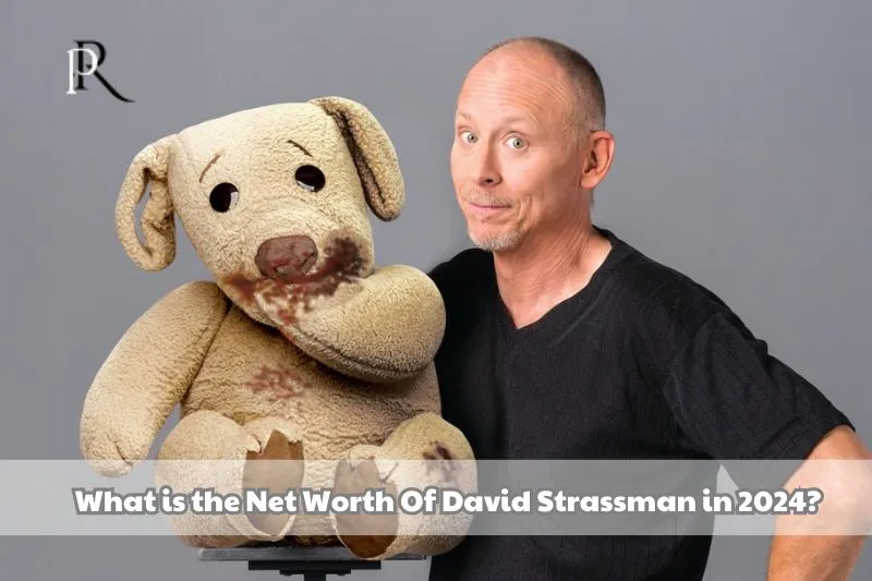 What is David Strassman's net worth in 2024?