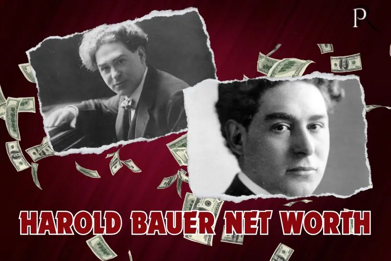 What is Harold Bauer's net worth in 2024