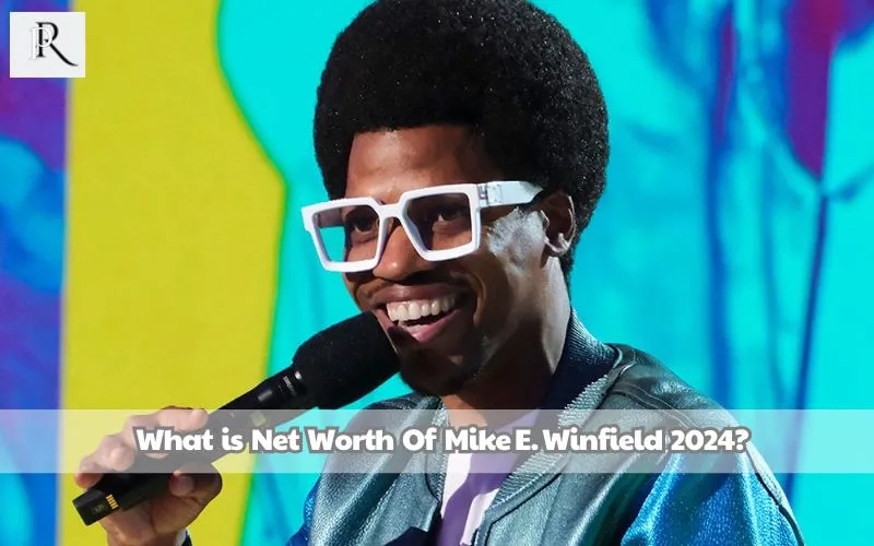 What is Mike E Winfield's net worth in 2024