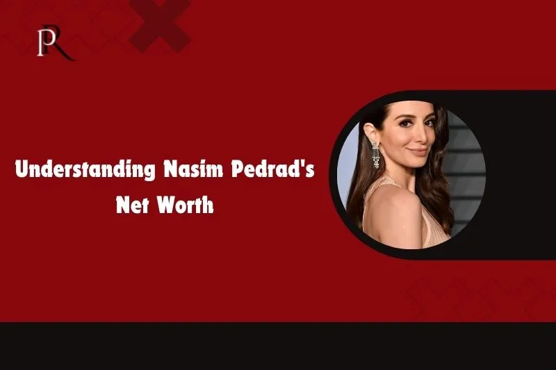 Understand Nasim Pedrad's net worth