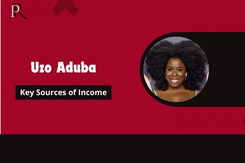 Uzo Aduba Main source of income